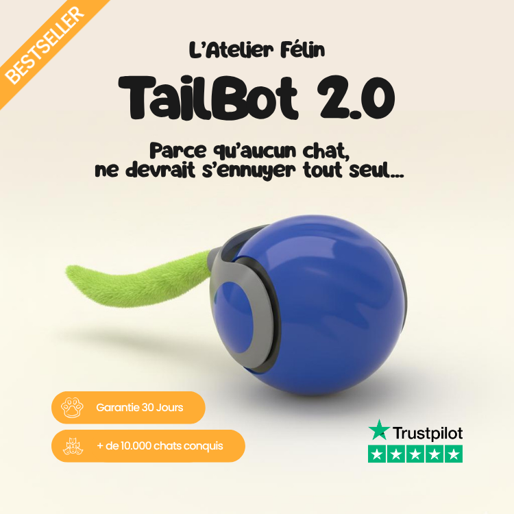 TailBot2.0 - Le jouet interactif qui occupe votre chat quand vous n'êtes pas là