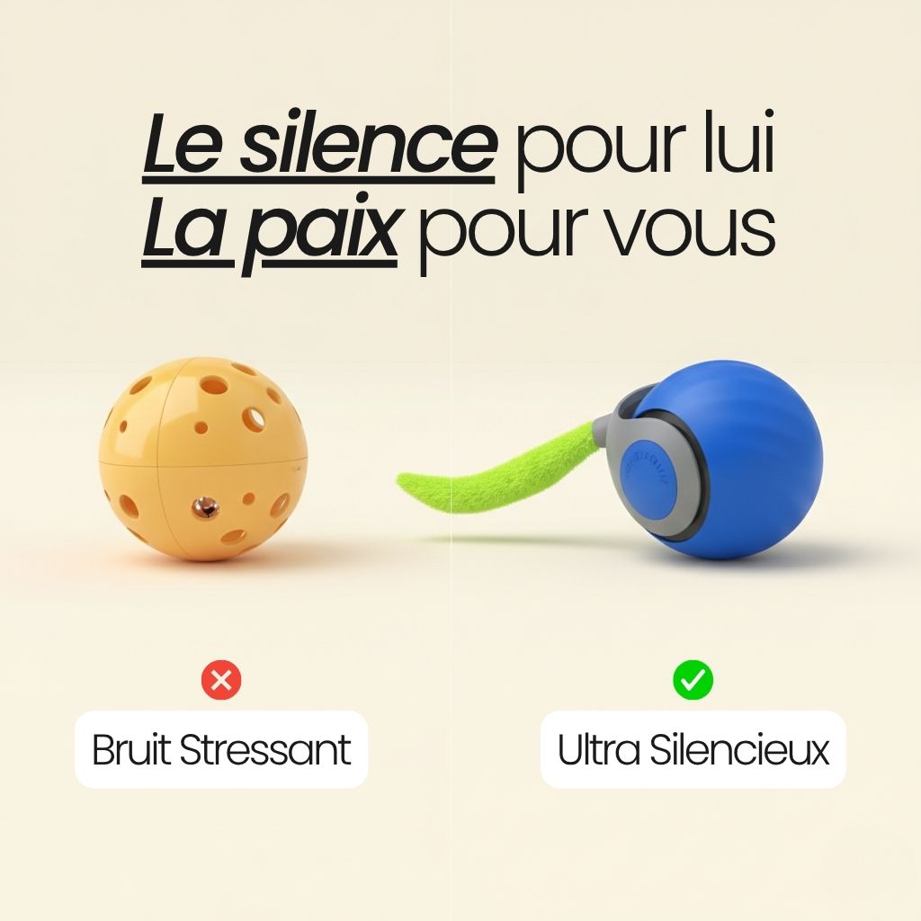 TailBot2.0 - Jouet Interactif Anti-Ennui