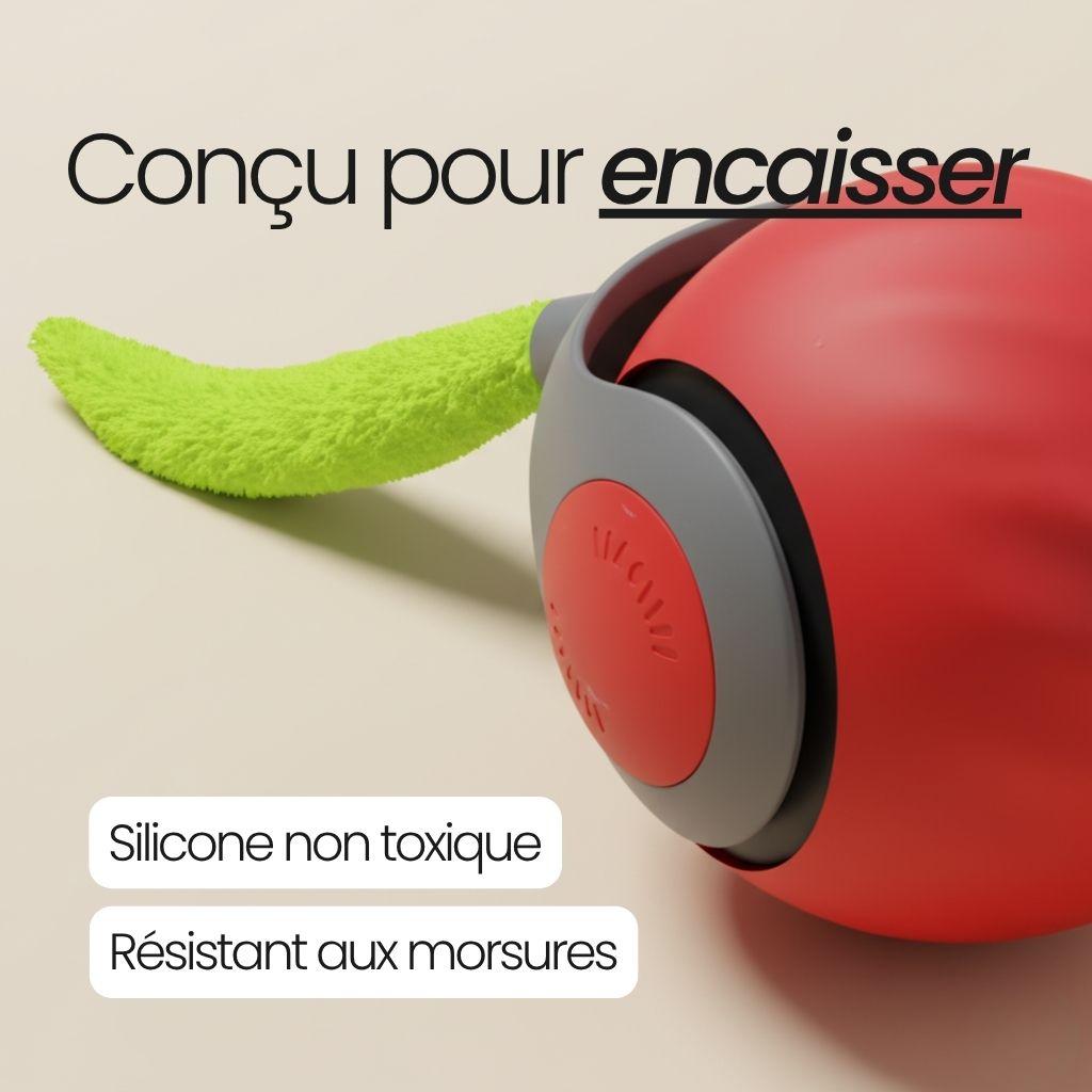 TailBot2.0 - Le jouet interactif qui occupe votre chat quand vous n'êtes pas là
