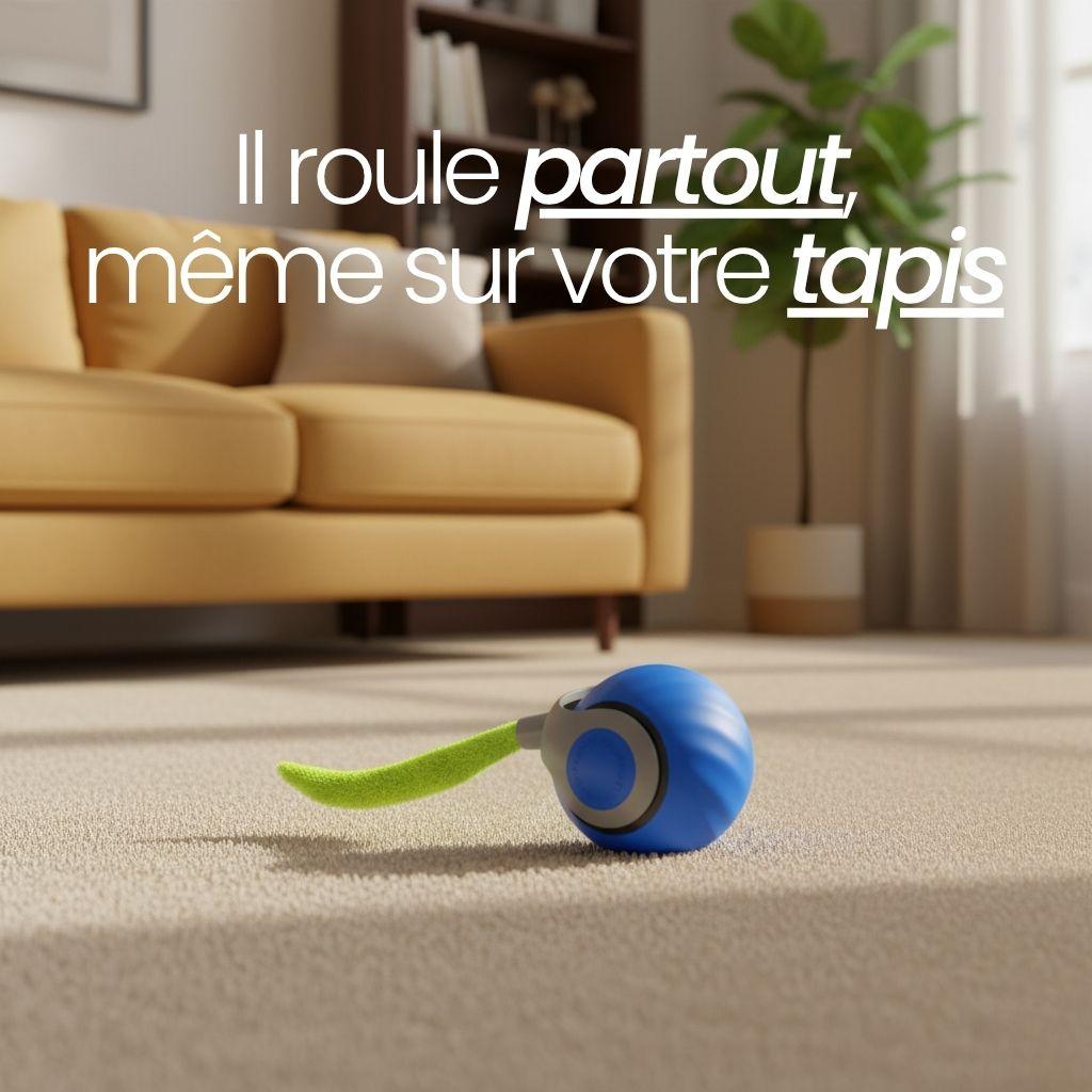 TailBot2.0 - Le jouet interactif qui occupe votre chat quand vous n'êtes pas là